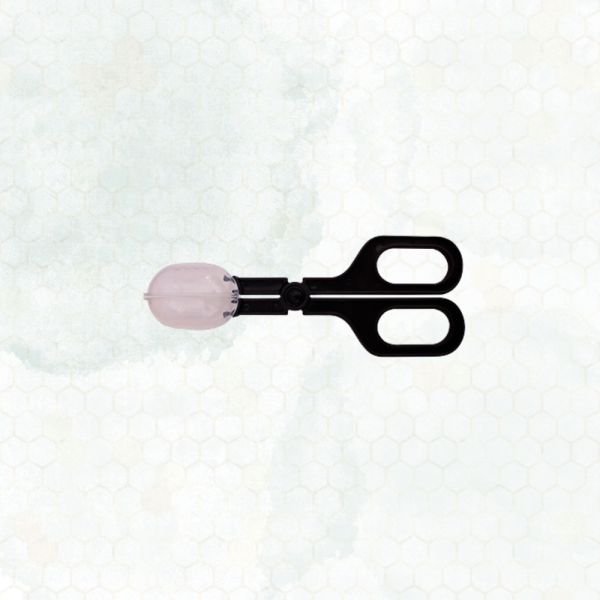 Pinza para abeja reina